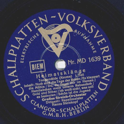 Großes-Streich-Orchester: Hanns Steinkopf - Heimatklänge...