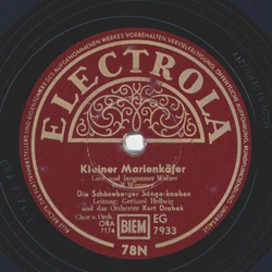 Die Schneberger Sngerknaben - Kleiner Marienkfer / Von...