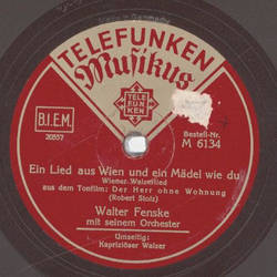 Walter Fenske - Ein Lied aus Wien und ein Mädel wie du /...