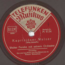 Walter Fenske - Ein Lied aus Wien und ein Mdel wie du / Kapriziser Walzer