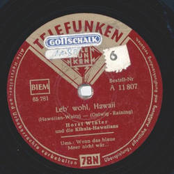 Horst Winter - Leb wohl, Hawaii / Wenn das blaue Meer...