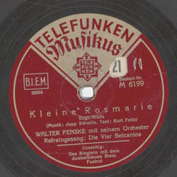 Walter Fenske - Kleine Rosmarie / Das Ringlein mit dem dunkelblauen Stein