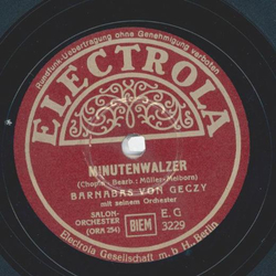Barnabas von Geczy Orch. - Minutenwalzer / Fantasie über...