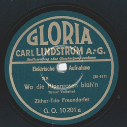 Zither-Trio Freundorfer / Wiener Schrammel-Orchester...