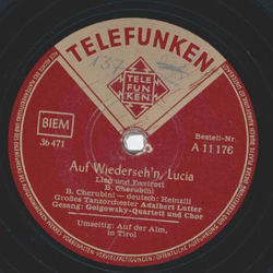 Golgowsky Quartett - Auf Wiedersehn Lucia / Auf der Alm in Tirol