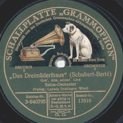 Salon Orchester - Das Dreimädelhaus ( Geh`Alte, schau ! ) / Das Dreimädelhaus ( Unter dem Fliederbaum)