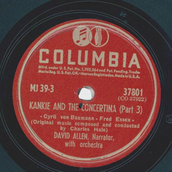 David Allen - Kankie and the Concertina (2 Records)