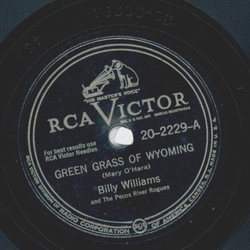 Billy Williams - Green Grass Of Wyoming / Remember Me