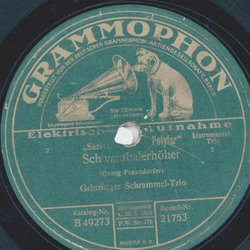 Grinzinger Schrammel-Trio - Die Deutschmeister san do! / Schwanthalerhher