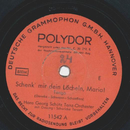 Schuricke-Terzett - Schenk mir dein Lcheln, Maria! / Es...