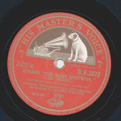 Vienna Philharmonic Orchestra: Bruno Walter - Serenade: Eine kleine Nachtmusik (2 Records) 