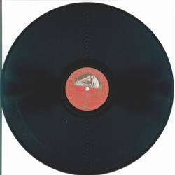 Vienna Philharmonic Orchestra: Bruno Walter - Serenade: Eine kleine Nachtmusik (2 Records) 