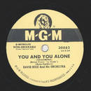 David Rose - Love is a many - Splendored thing / You and...