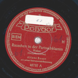 Alfons Bauer - Rauschen in der Partnachklamm / Die...