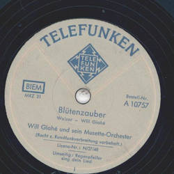 Will Glah und sein Musette-Orchester - Bltenzauber / Regenpfeifer sing dein Lied
