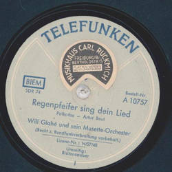 Will Glah und sein Musette-Orchester - Bltenzauber / Regenpfeifer sing dein Lied