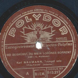 Karl Naumann - Sei gegrt du mein schnes Sorrent / Noch sind die Tage der Rosen