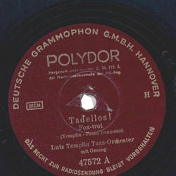 Lutz Templin Tanz-Orchester - Tadellos / Was dir fehlt,...