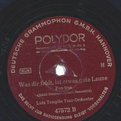 Lutz Templin Tanz-Orchester - Tadellos / Was dir fehlt, ist etwas gute Laune