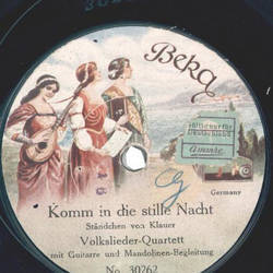 Volkslieder-Quartett - Komm in die stille Nacht / Das...