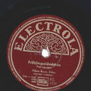 Alfons Bauer, Zither - Ein Abend am Traunsee /...
