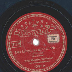 Willy Schneider - Das kannst du nicht ahnen / Kornblumenblau