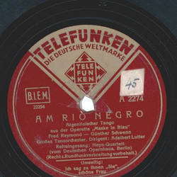 Adalbert Lutter mit großem Tanzorchester - Am Rio Negro /...