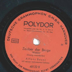 Alfons Bauer mit seinen Instrumental-Solisten - Von Linz bis Wien / Zauber der Berge