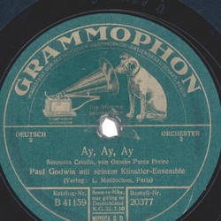 Paul Godwin m. s. Knstler-Ensemble  - Ganz allerliebst / Ay,Ay,Ay