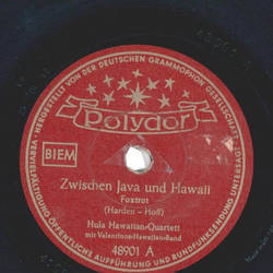 Hula Hawaiian Quartett - Zwischen Java und Hawaii / Steig...