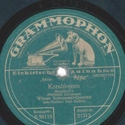 Wiener Schrammel-Quartett, Violine Paul Godwin -...