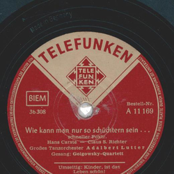 Golgowsky-Quartett - Wie kann man nur so schchtern sein / Kinder ist das Leben schn 