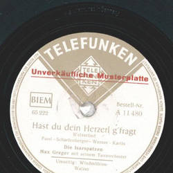 Die Isarspatzen - Hast du dein Herzerl gfragt /...