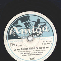 Metropol-Vokalisten - So was Schnes machst du nie mit...