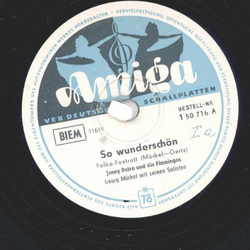 Jenny Petra und die Flamingos - So Wundersch�n / Schwarze...