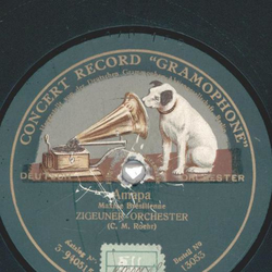 Zigeuner-Orchester - El Tango De Amor / Amapa