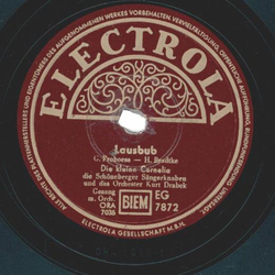 Die Kleine Cornelia, Die Sch�neberger S�ngerknaben Und Das Orchester Kurt Drabek ? Die Kleine Mit Der Mundharmonika / Lausbub