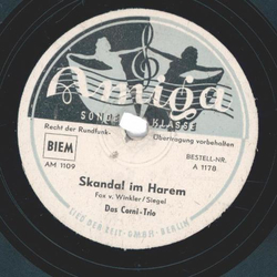Das Cornel Trio - Skandal im Harem / Einmal m�cht ich...