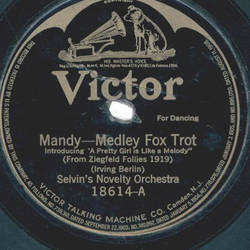 Selvins Novelty Orchestra ? Mandy / Novelty One-Step