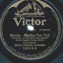 Selvins Novelty Orchestra ? Mandy / Novelty One-Step